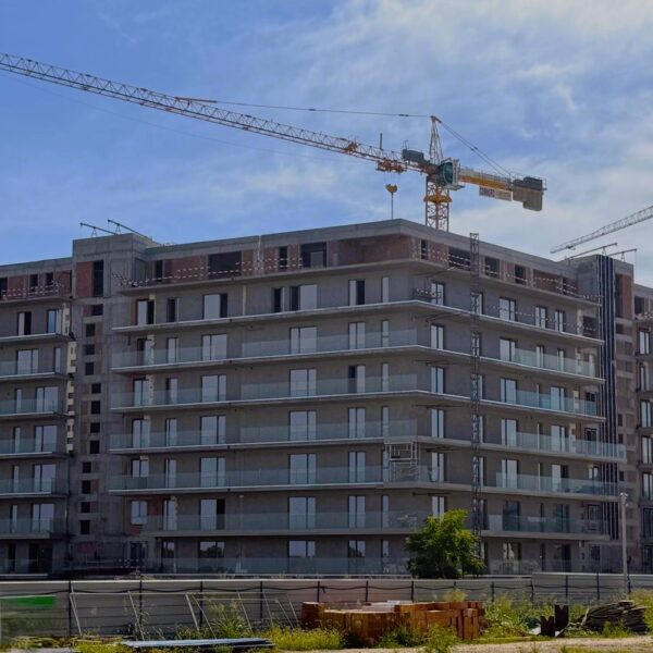 buftea buftea